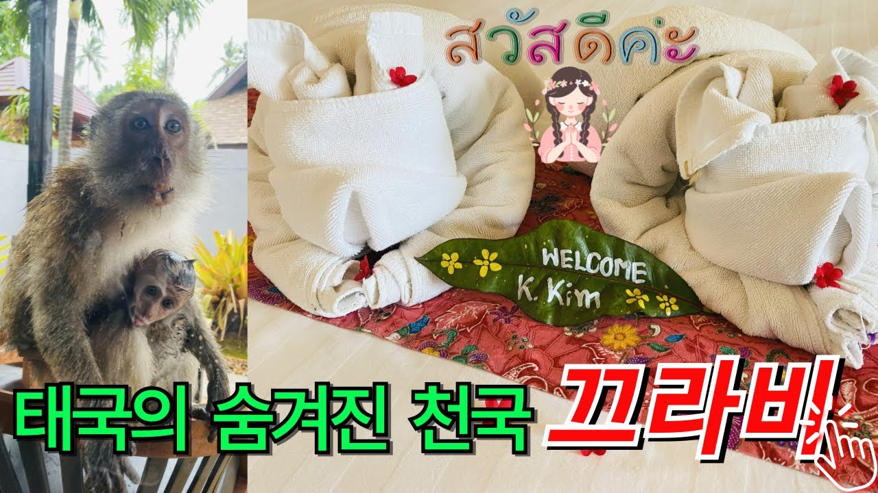 🔴⚪🔵 태국의 숨겨진 천국 끄라비를 아시나요? 끄라비에서의 3박 4일 건강하게 즐기기! 이번 여름 휴가 여기 어때? [𝗧𝗛]  #라일레이베이리조트 #반사이나이리조트