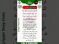 Surah E Al Muaida Ayat No 114 114سورۃ المائدہ آیت نمبر GripperDeepLines Surah E Al Muaida Ayat No 114 114سورۃ المائدہ آیت نمبر GripperDeepLines