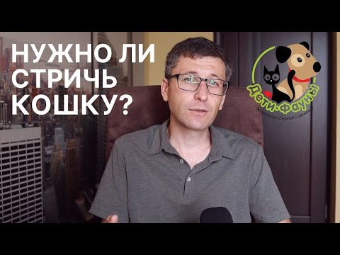 Нужно ли стричь