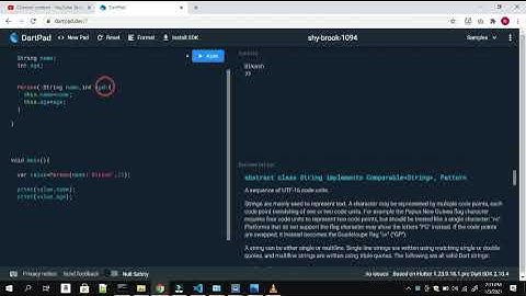 class constructor and named argument