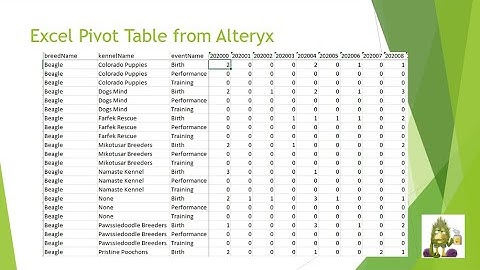 Alteryx Generate Excel Pivot Table Tutorial