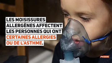 Est-ce que la moisissure peut rendre malade