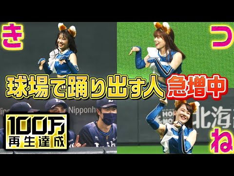 【リンディンディンディン】きつねダンス『球場でも踊り出す人が急増中…!?』【ディンガリングディン】