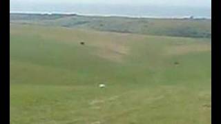 Lee & Jamie Zorbing down a hill at Devil's Dyke