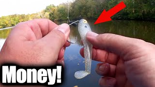 Fall B Fishing With A Texas Rig Swimbait Yum Money Minnow