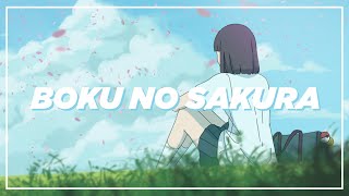 [Lofi Ballad] JKT48 - Bunga Sakuraku | 僕の桜