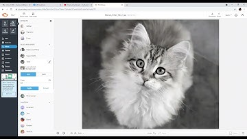 How to Make a Line Drawing in PicMonkey