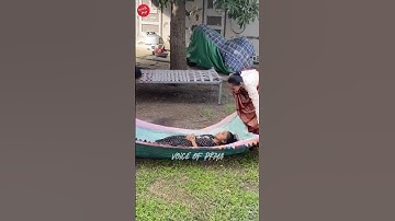 இத கடைசி வர பாருங்க| voice of priya_Tamil  Facts_Facts in Tamil_Facts in Minutes #shortsTamil