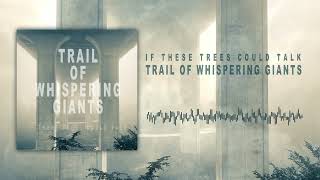 If These Trees Could Talk - Trail Of Whispering Giants (Official)