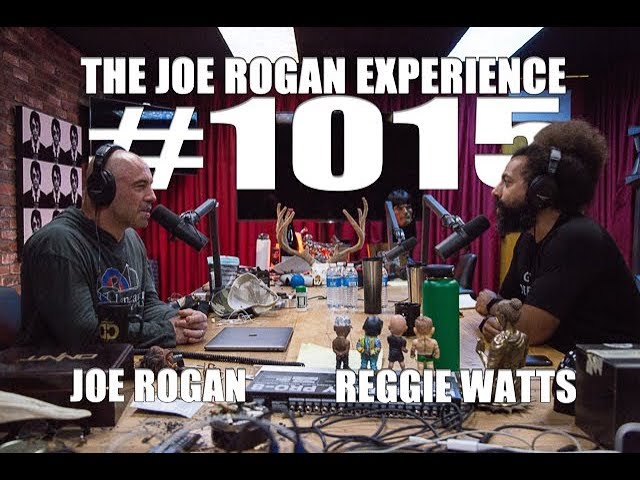 Joe Rogan Experience #1015 - Reggie Watts