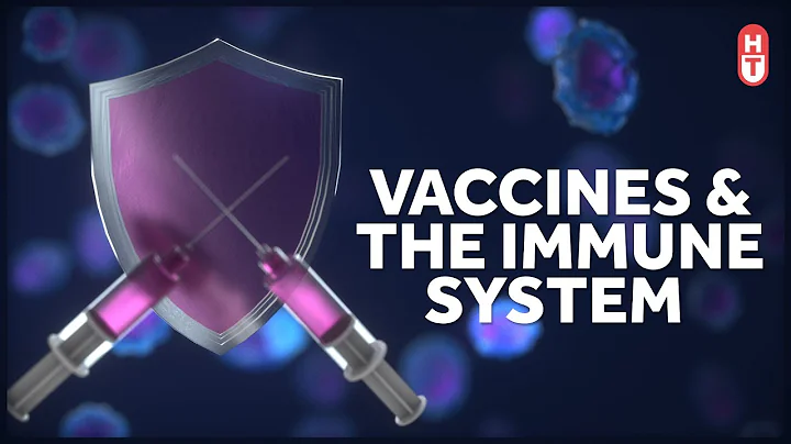 How Vaccines Work with Your Immune System