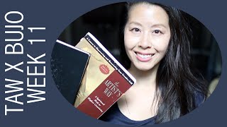 The Artist's Way in a Bullet Journal • Week 11 Walkthrough