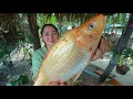 Gold Fish Yummy Soup Cooking Pot - Cooking With Sros