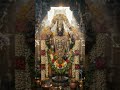 ☀️Friday Suprabatha Darshan: Lord Balaji’s First Morning Light  | #Shorts #FridayBlessings #Tirumala