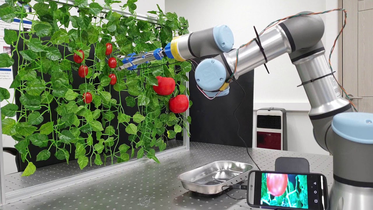 Soft robotic gripper test movie YouTube