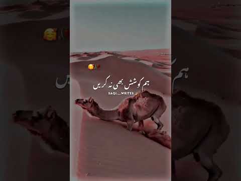 Deep Lines New ShortVideo