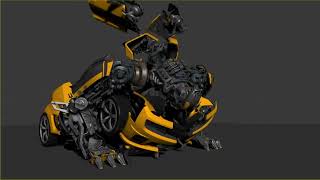 Bumblebee transformation  test
