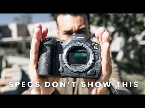 I Have Options… Here’s Why I Use Canon for client work