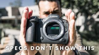 I Have Options… Here’s Why I Use Canon for client work