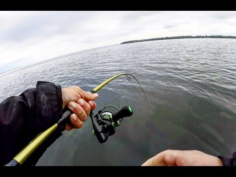 Catching LOTS of Walleye AND My PB Smallmouth!!