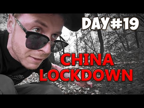 Lockdown in China: How is it? The Truth...这是中国封城的真实状况？