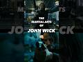 The martial arts of john wick johnwick aikido