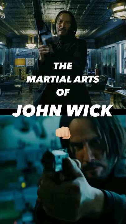 The MARTIAL ARTS of JOHN WICK #johnwick #aikido