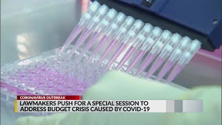 NM Republicans call for special session