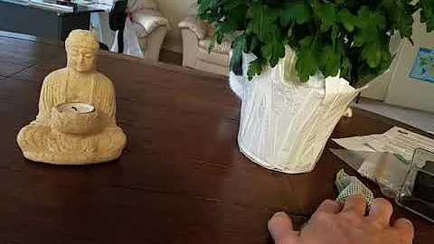 О наших хвостатых друзьях🐕🐈🐗🐄🐎🐀🐿