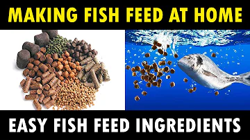 How To Make Fish Feed At Home | Homemade Floating Fish Feed | Fish feed Ingredients
