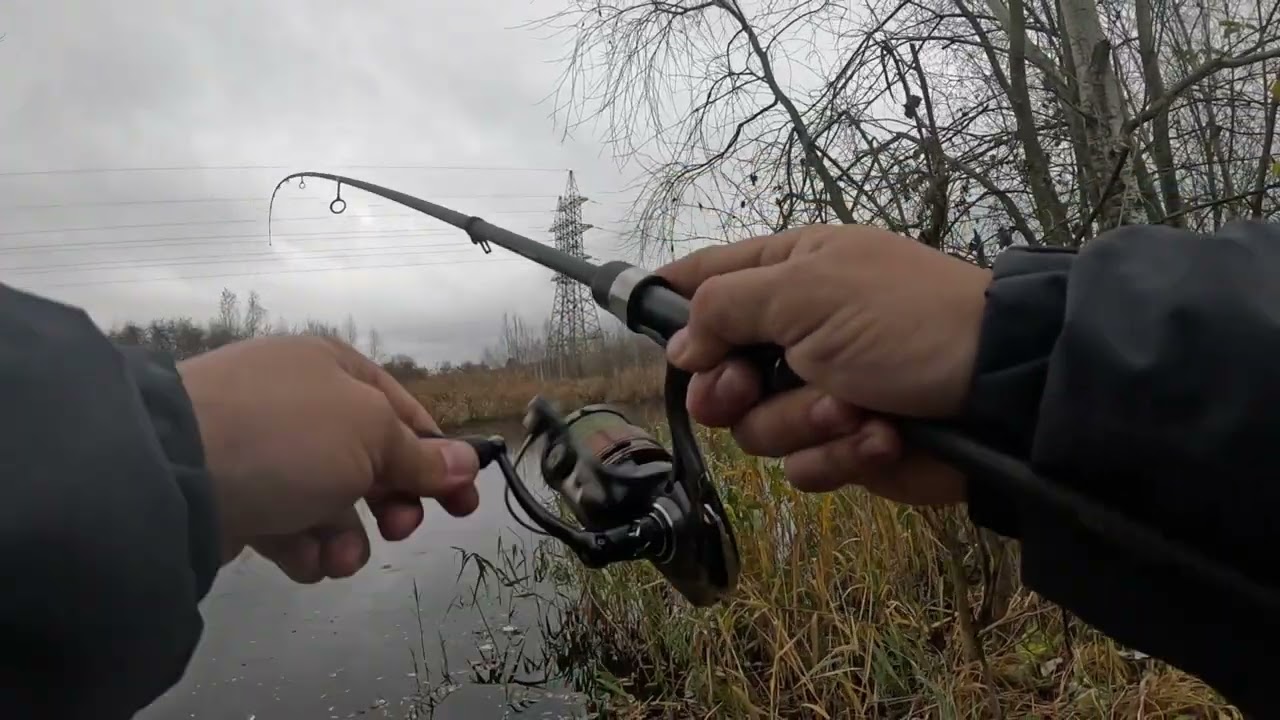 Полював на судака, а увірвав окуня! Flagman Hitomi творить дива 🎣