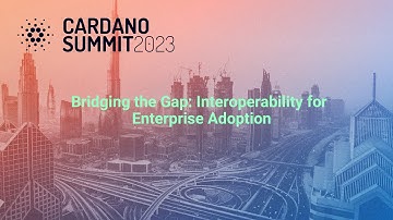 Bridging the Gap: Interoperability for Enterprise Adoption
