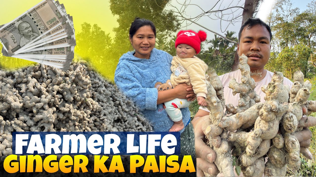 Finally Bahut Ginger mil giya | Hardworking sucess hua