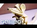 Origami eXtrem | Galileo | ProSieben