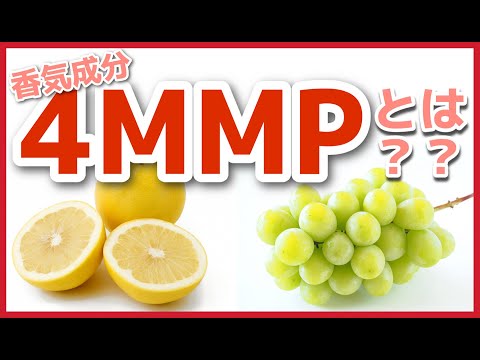 【日本酒の勉強】香気成分「4MMP」ってどんな香り？？