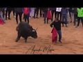 Carnaval de Toro 2020 (Ciudad Rodrigo)