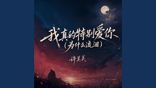 我真的特别爱你(为什么流泪) - 许美美