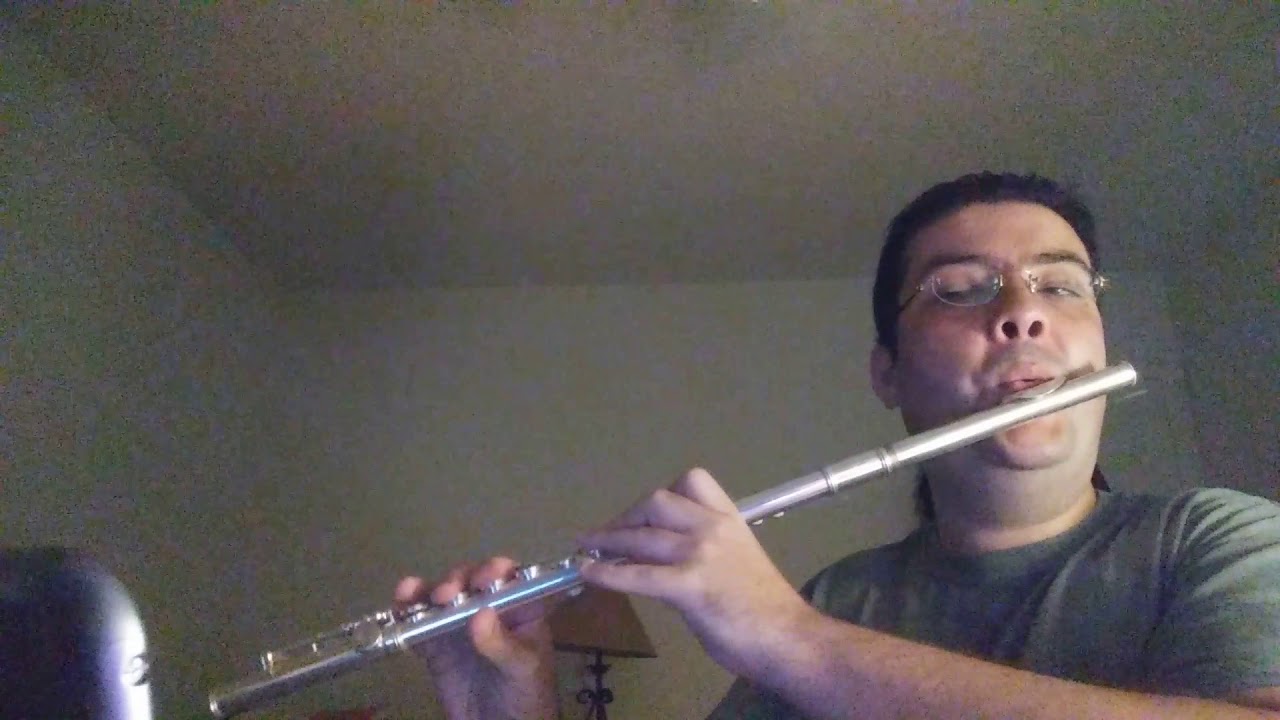 Bruno Mars - When I was your man flute cover