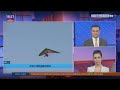 Факт 24 | Кун видеоси - Бухоролик юртдошимиз томонидан қўлбола ясалган дельтаплан