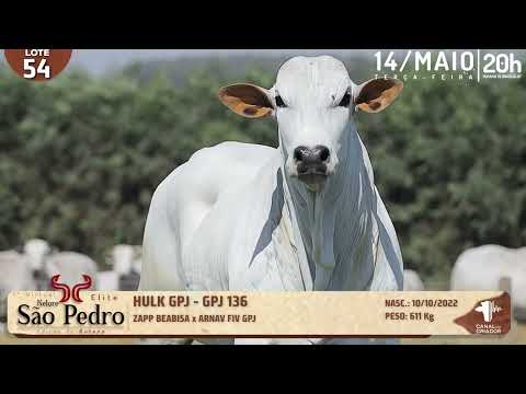 LOTE 54   GPJ 136