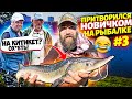 ПРАНК! ЛОВЛЮ рыбу на КИТИКЕТ!! ПРИТВОРИЛСЯ новичком НА РЫБАЛКЕ! 3 часть, рыбаки НЕ ВЕРЯТ а я ловлю!!