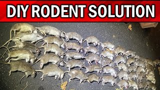 This is Better than Traps & Poison! Make Rats and Mice Disappear Quickly