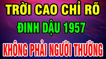 Đinh Dậu 1957– Số Phận Nghiệt Ngã Vì Căn Trả Nghiệp, Nhưng Hậu Vận Lại Giàu Sướng Nhờ 9 Điều Này!