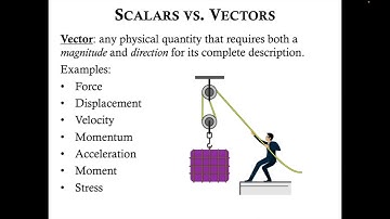 Scalars vs. Vectors