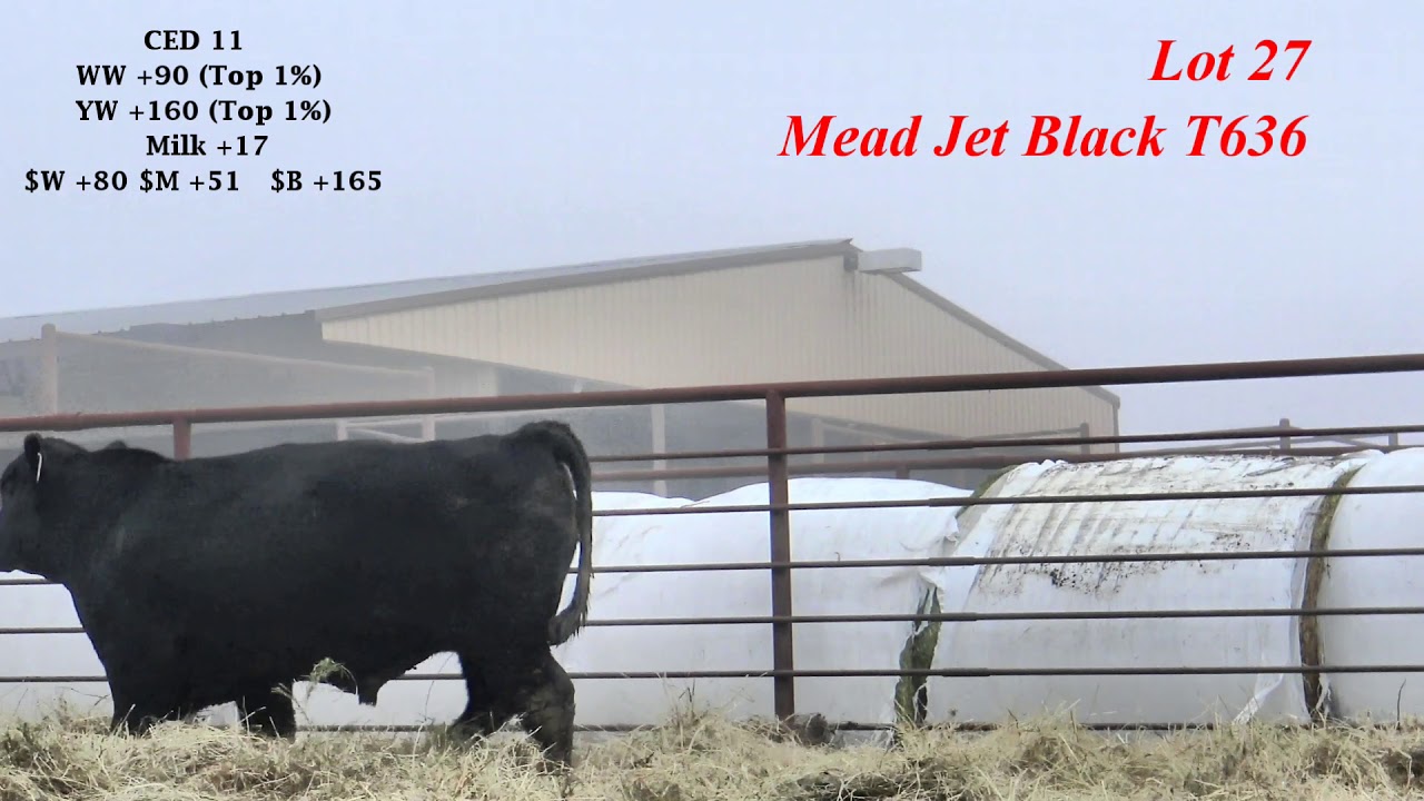 Mead Farms Lot 27 YouTube