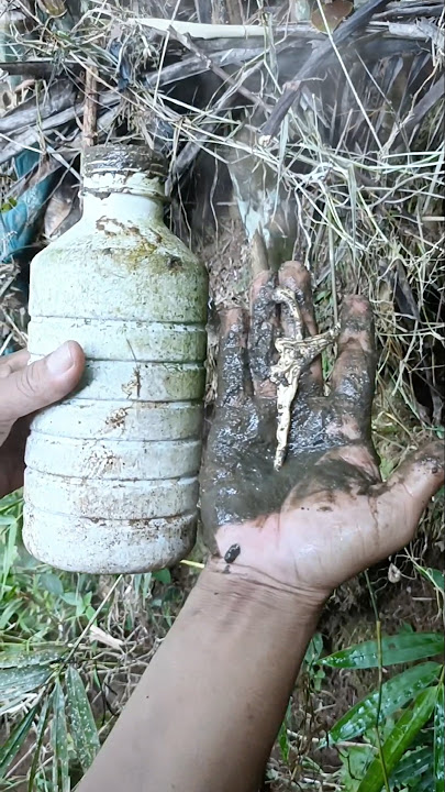 Nemu botol bekas orang betapa orang sakti ternyata isi pusaka keris sakti #mistis #viralshorts