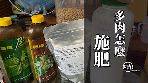 喵王的多肉阳台-多肉怎么施肥、什么是植物益生菌、氮磷钾的作用、缓释肥用多久 - 天天要闻