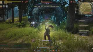 Faust Forest Queen Stoneback Crab Scroll Solo Witch Level 50 Black Desert Online