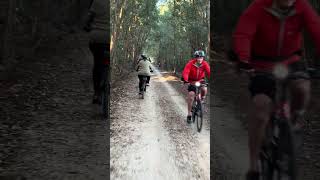 🎥 Northern Rivers Rail Trail: Exploring Australia’s Hidden Bush Tracks