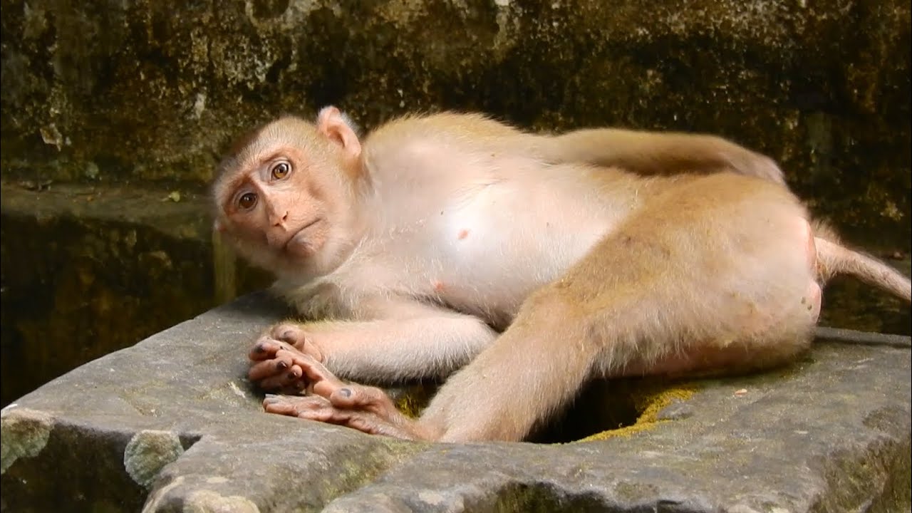 How stress is Liza staying?